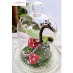 Déco sous cloche oiseau