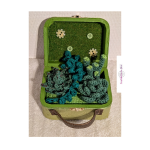 Mini valise de succulentes